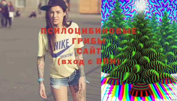 стафф Нижний Тагил