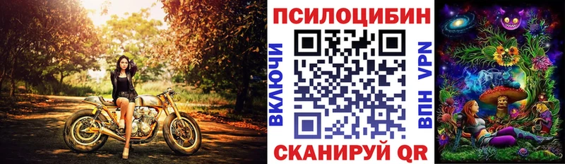 закладка  гидра вход  Псилоцибиновые грибы GOLDEN TEACHER  Уржум 
